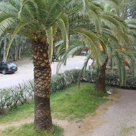 T2 Calvi entierement équipé à 150m de la plage. Esterno foto