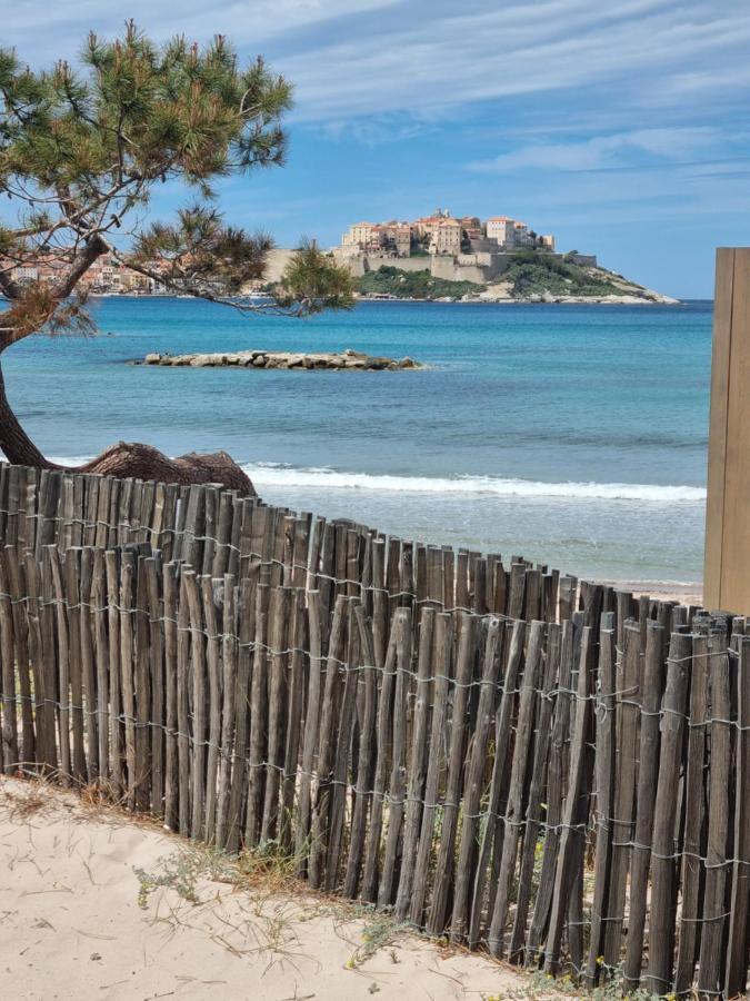 T2 Calvi entierement équipé à 150m de la plage. Esterno foto